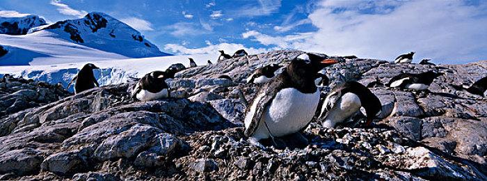 《异度神剑3》战斗画面公布 7月29日正式发售